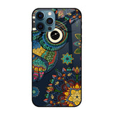 Owl Art Apple iPhone 12 Pro Max Glass Cases & Covers Online