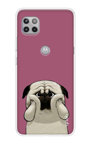 Chubby Dog Motorola Moto G 5G Back Cover