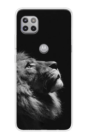Lion Looking to Sky Motorola Moto G 5G Back Cover