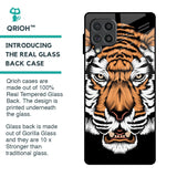 Angry Tiger Glass Case For Samsung Galaxy F62