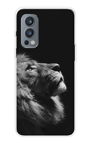 Lion Looking to Sky OnePlus Nord 2 Back Cover