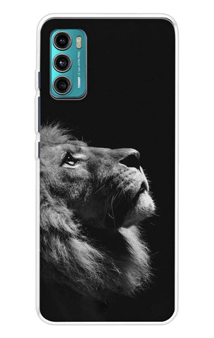 Lion Looking to Sky Motorola G40 Fusion Back Cover