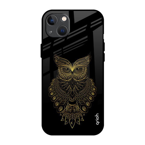 Golden Owl iPhone 13 Glass Back Cover Online