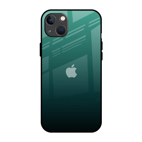 Palm Green iPhone 13 Glass Back Cover Online