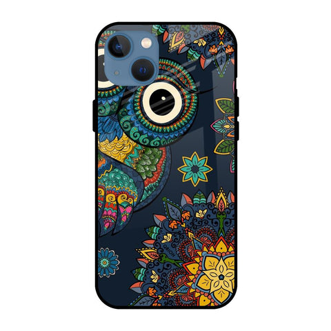 Owl Art Apple iPhone 13 Glass Cases & Covers Online