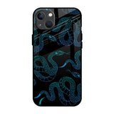 Serpentine iPhone 13 mini Glass Back Cover Online