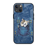 Kitty In Pocket iPhone 13 mini Glass Back Cover Online