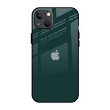 Olive iPhone 13 mini Glass Back Cover Online