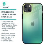 Dusty Green Glass Case for iPhone 13 mini