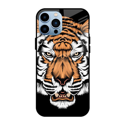 Angry Tiger iPhone 13 Pro Glass Back Cover Online