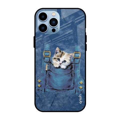 Kitty In Pocket iPhone 13 Pro Glass Back Cover Online