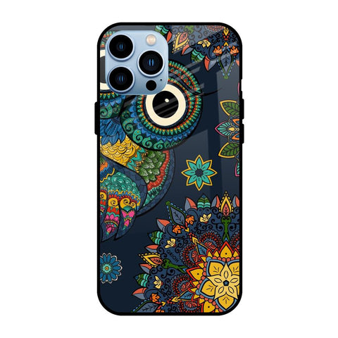 Owl Art iPhone 13 Pro Glass Back Cover Online