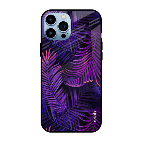 Plush Nature iPhone 13 Pro Glass Back Cover Online