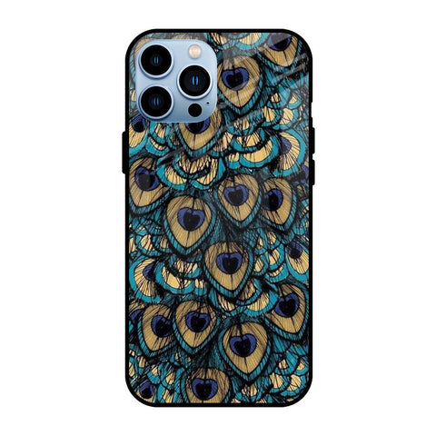Peacock Feathers iPhone 13 Pro Glass Cases & Covers Online