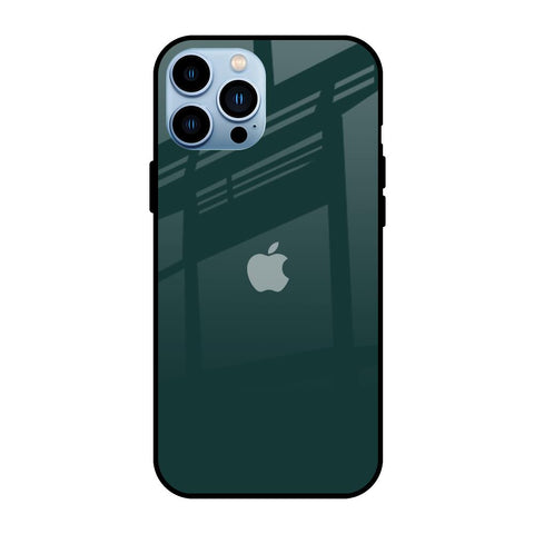 Olive iPhone 13 Pro Glass Back Cover Online