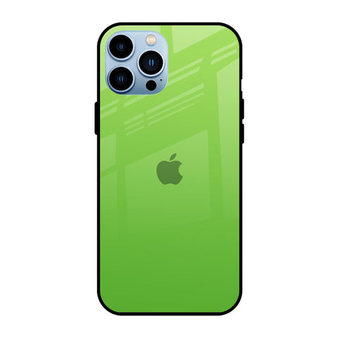 Paradise Green iPhone 13 Pro Glass Back Cover Online