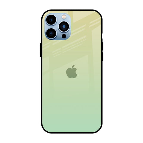 Mint Green Gradient iPhone 13 Pro Glass Back Cover Online