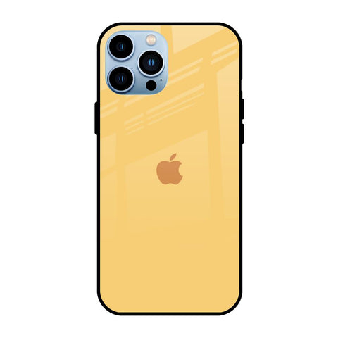 Dandelion iPhone 13 Pro Glass Back Cover Online