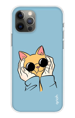 Attitude Cat iPhone 13 Pro Back Cover