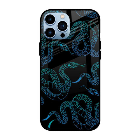 Serpentine iPhone 13 Pro Max Glass Back Cover Online