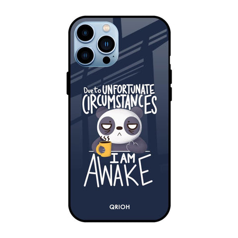 Struggling Panda iPhone 13 Pro Max Glass Back Cover Online