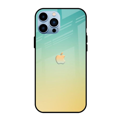 Cool Breeze iPhone 13 Pro Max Glass Cases & Covers Online