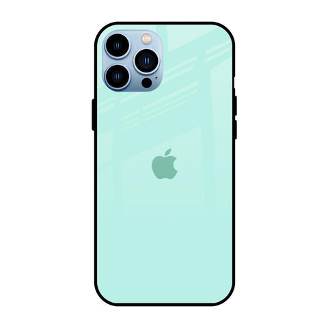 Teal iPhone 13 Pro Max Glass Back Cover Online