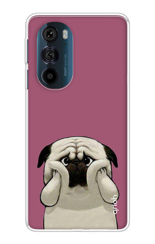 Chubby Dog Motorola Edge 30 Pro Back Cover