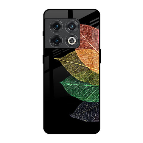Colorful Leaves OnePlus 10 Pro Glass Back Cover Online