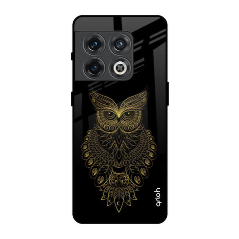 Golden Owl OnePlus 10 Pro Glass Back Cover Online