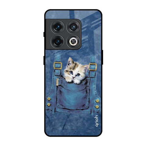 Kitty In Pocket OnePlus 10 Pro Glass Back Cover Online