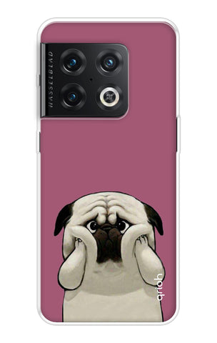 Chubby Dog OnePlus 10 Pro Back Cover