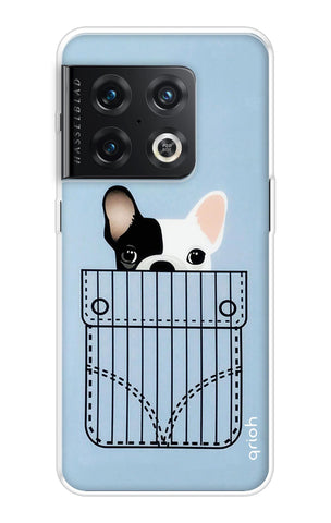 Cute Dog OnePlus 10 Pro Back Cover
