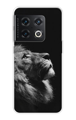 Lion Looking to Sky OnePlus 10 Pro Back Cover