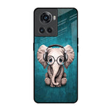 Adorable Baby Elephant OnePlus 10R 5G Glass Back Cover Online