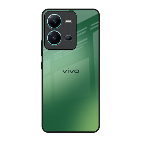 Green Grunge Texture Vivo V25 Glass Back Cover Online
