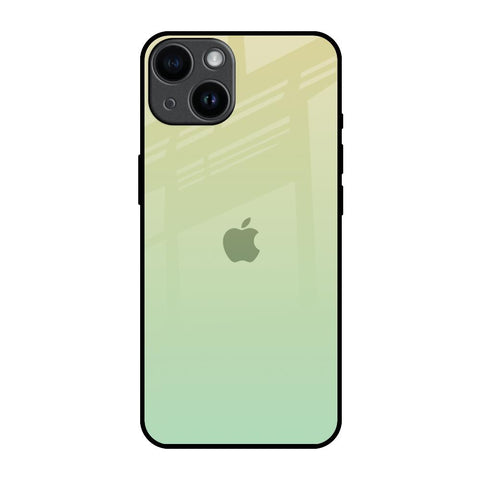 Mint Green Gradient iPhone 14 Glass Back Cover Online