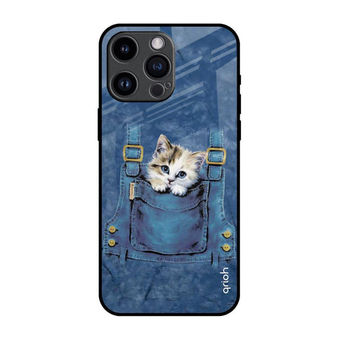 Kitty In Pocket iPhone 14 Pro Max Glass Back Cover Online