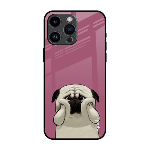 Funny Pug Face iPhone 14 Pro Max Glass Back Cover Online