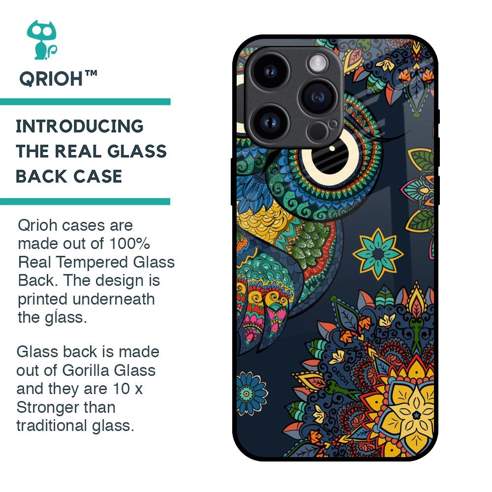 Owl Art Glass Case for iPhone 14 Pro Max