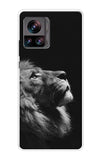 Lion Looking to Sky Motorola Edge 30 Ultra Back Cover