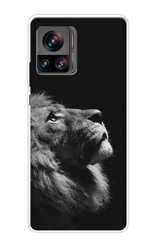 Lion Looking to Sky Motorola Edge 30 Ultra Back Cover