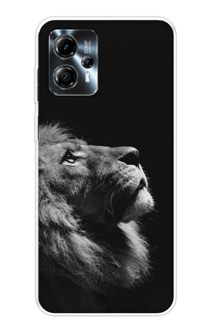 Lion Looking to Sky Motorola Moto G13 Back Cover
