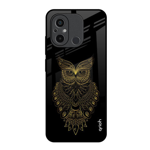 Golden Owl Redmi 12C Glass Back Cover Online