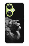 Lion Looking to Sky OnePlus Nord CE 3 Lite 5G Back Cover