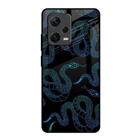 Serpentine Redmi Note 12 Pro 5G Glass Back Cover Online