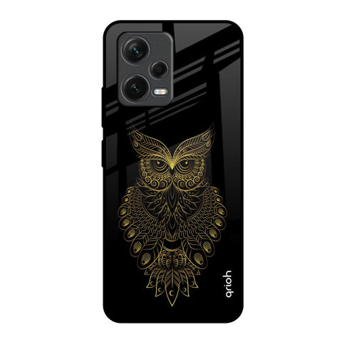 Golden Owl Redmi Note 12 5G Glass Back Cover Online
