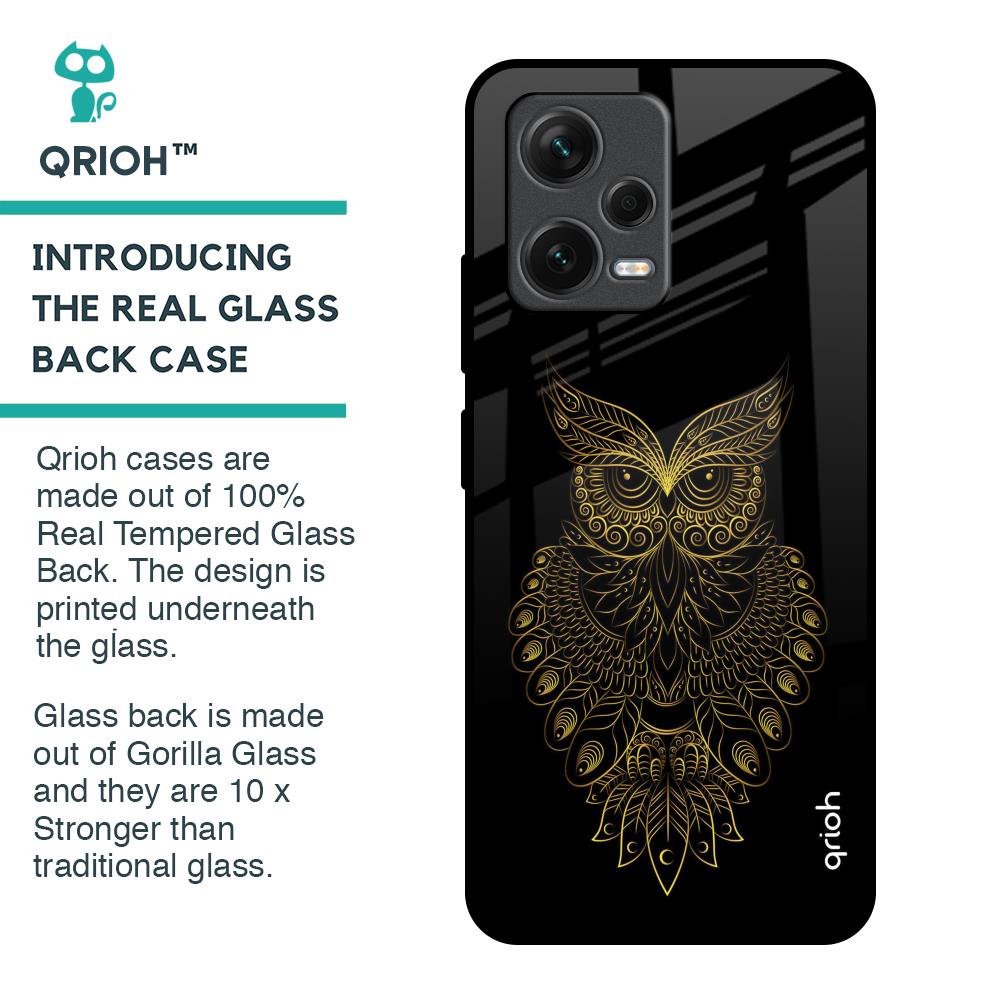 Golden Owl Glass Case for Redmi Note 12 5G