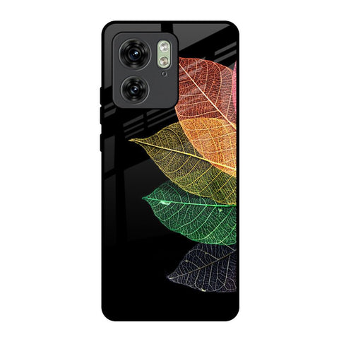 Colorful Leaves Motorola Edge 40 Glass Back Cover Online