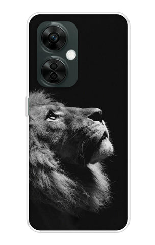Lion Looking to Sky OnePlus Nord CE 3 5G Back Cover
